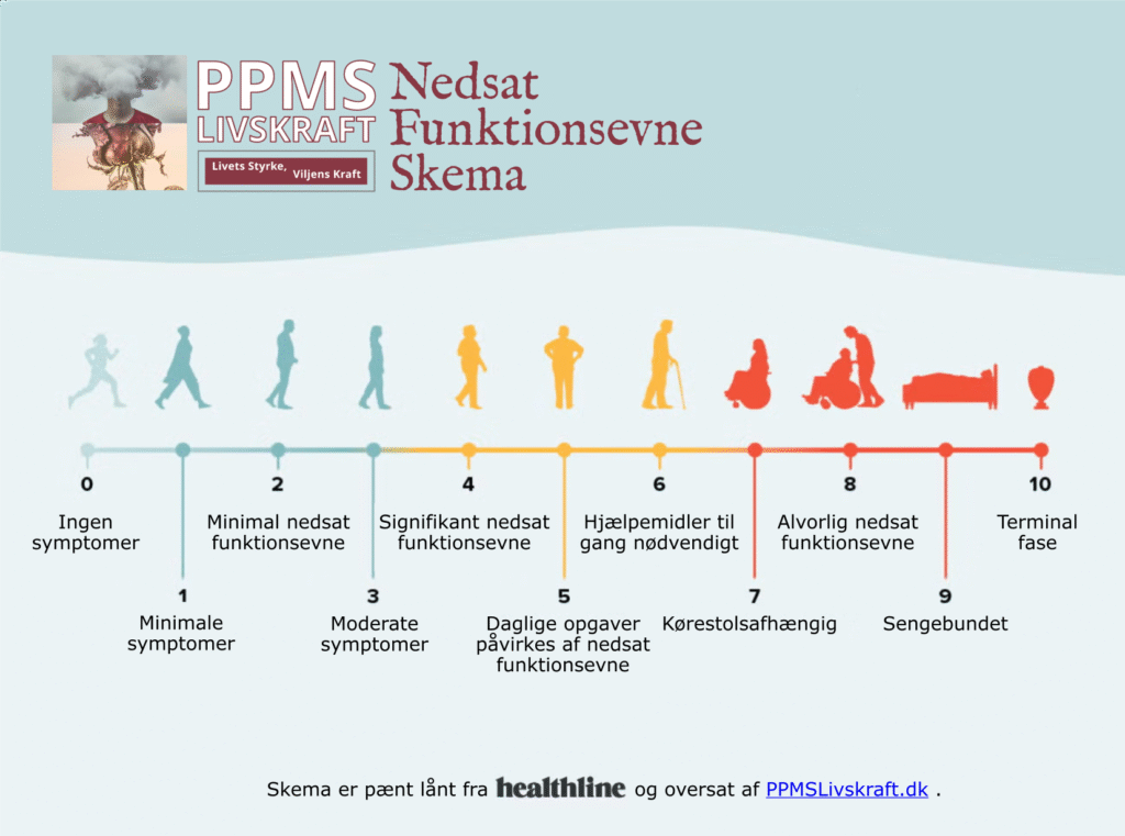 nedsatfunktionsevneskema